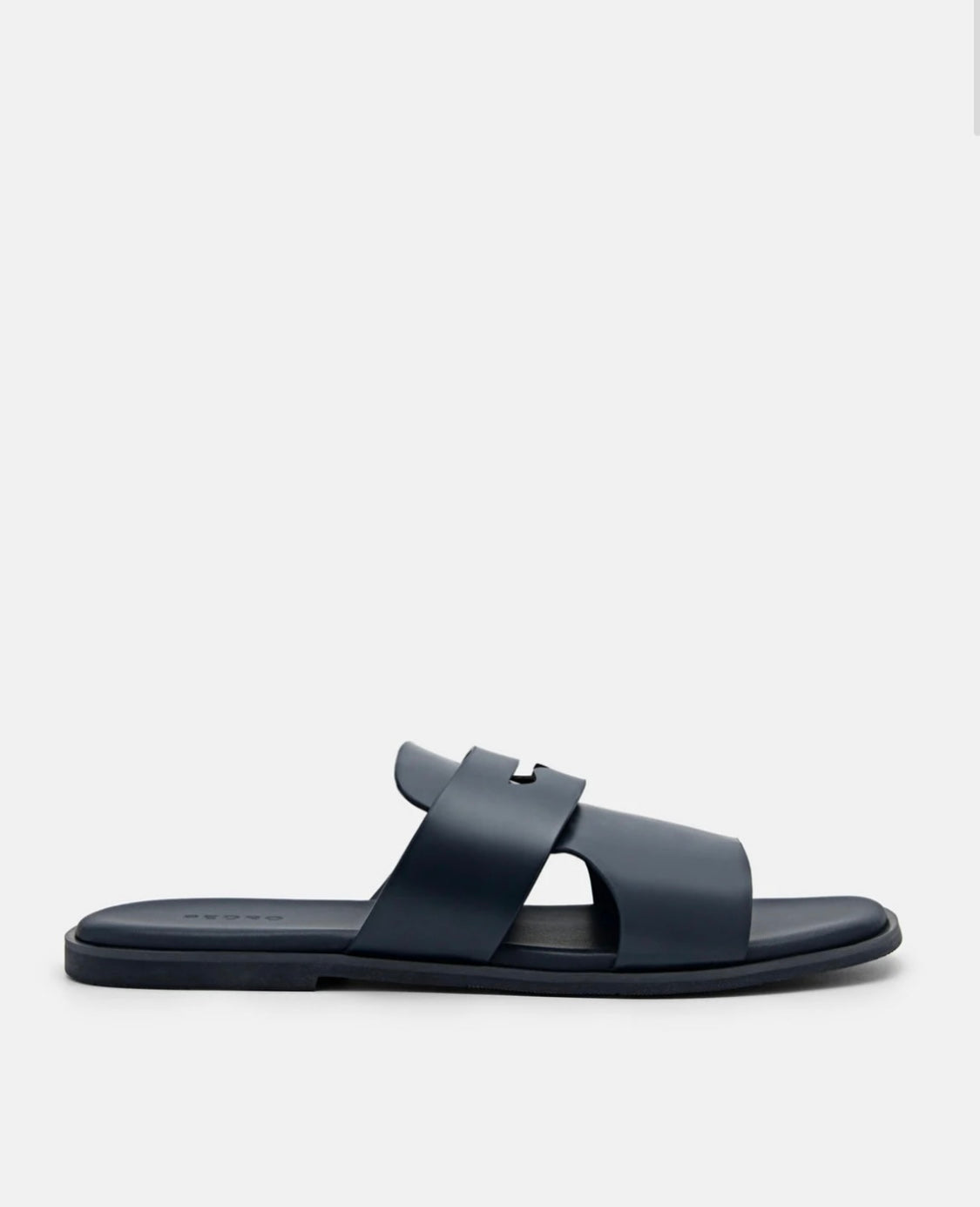 Regal Monarch Slides