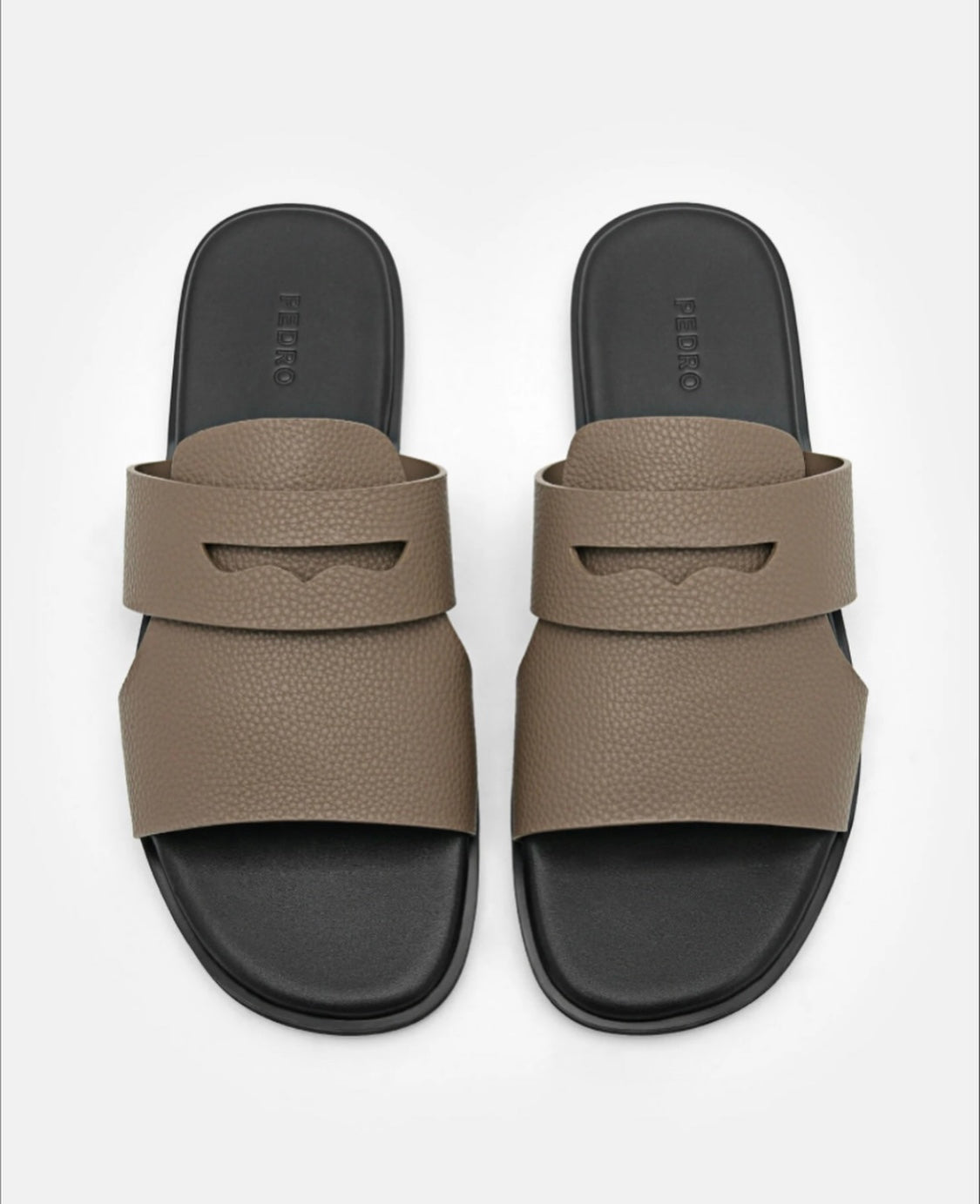 Regal Monarch Slides