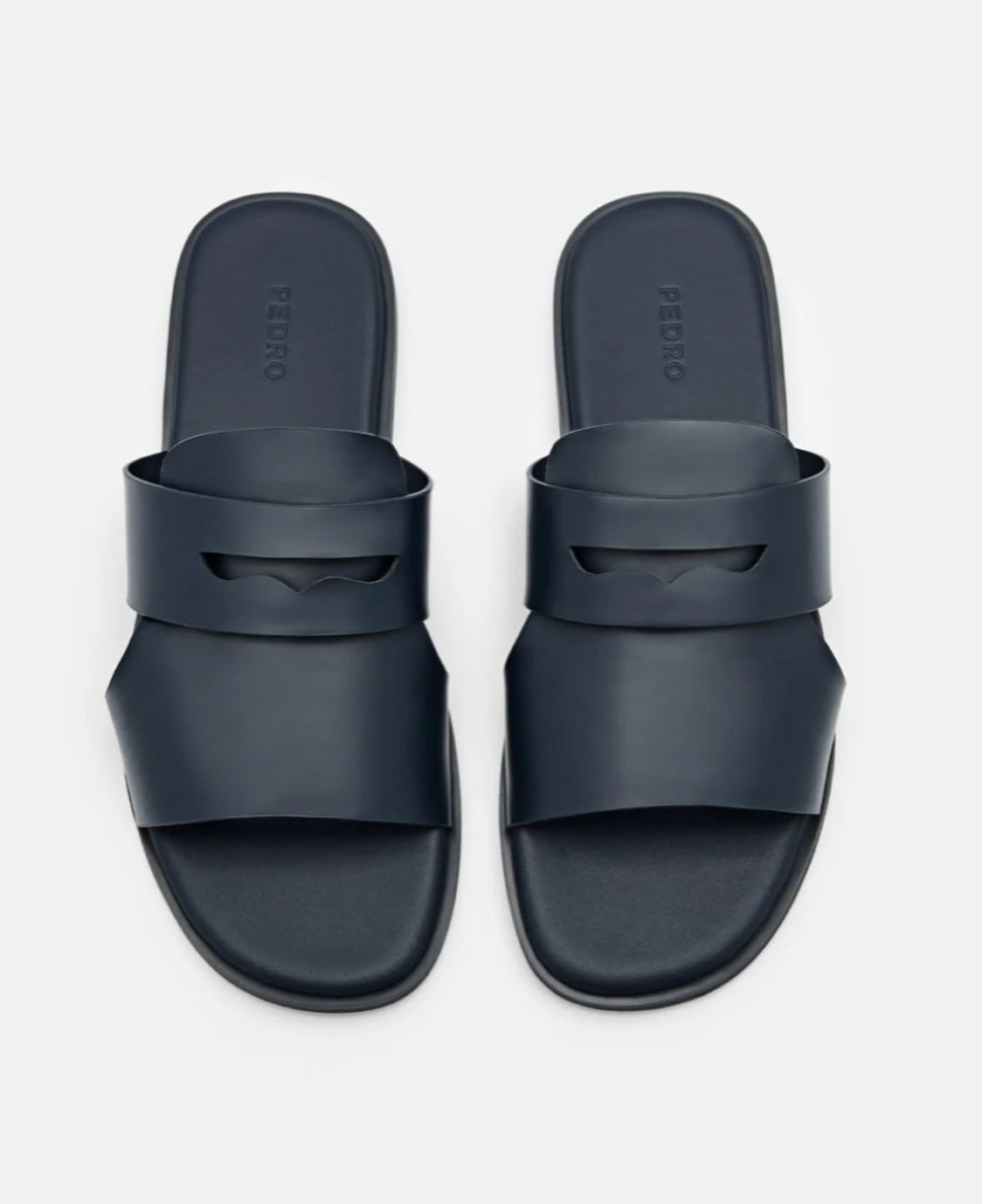 Regal Monarch Slides